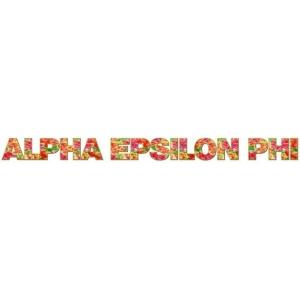 Alpha Epsilon Phi Floral Long Window Sticker