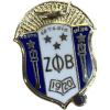 Zeta Phi Beta 3d Color Shield Pin