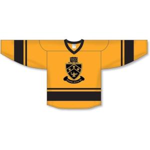 Kappa Delta Phi League Hockey Jersey(Gold/Black)