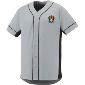 Alpha Kappa Lambda Fraternity Crest Slugger Baseball Jersey(Silver/Black)