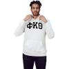 Phi Kappa Theta Arched Greek Letter Hooded Sweatshirt(White)
