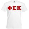 Phi Sigma Kappa Lettered V-Neck T-Shirt(White)