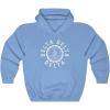 Greekgear Delta Delta Delta Unisex College Seal Hoodie(Carolina Blue)