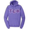 Greekgear Tau Epsilon Phi Pigment-Dyed Lettered Hooded Sweatshirt(Amethyst)