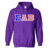 Sigma Lambda Beta Greek Letter American Flag Hoodie(Purple)