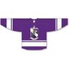 Tau Epsilon Phi League Hockey Jersey(Purple/White)