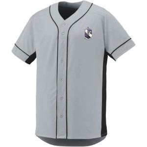 Tau Epsilon Phi Fraternity Crest Slugger Baseball Jersey(Silver/Black)