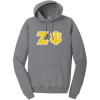 Zeta Psi Pigment-Dyed Lettered Hooded Sweatshirt(Pewter)