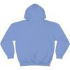 Express Design Group Got Jesus? – Christian Hoodie Sweatshirt(Carolina Blue)