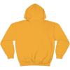 Express Design Group Got Jesus? – Christian Hoodie Sweatshirt(Gold)
