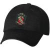 Alpha Gamma Delta Crest Hat(Black)