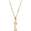 Greekgear Alpha Gamma Delta Gold Plated Lavaliere Necklace