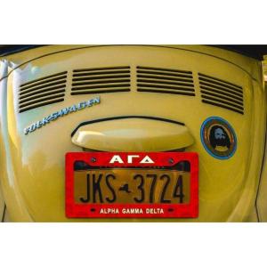 Alpha Gamma Delta New License Plate Frame