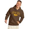Greekgear Iota Phi Theta Arch Hoodie(Brown)