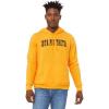 Greekgear Iota Phi Theta Letterman Hoodie