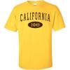 Greekgear Iota Phi Theta State Tee(Gold)