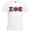 Sigma Phi Epsilon SigEp Lettered V-Neck T-Shirt(White)
