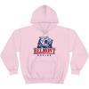 Belmont University Boyfriend Hoodies(Light Pink)