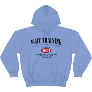 Wait Training The Ultimate In Strength Training Hoodie(Carolina Blue)