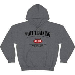 Wait Training The Ultimate In Strength Training Hoodie(Dark Heather)