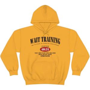 Wait Training The Ultimate In Strength Training Hoodie(Gold)