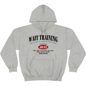 Wait Training The Ultimate In Strength Training Hoodie(Sport Grey)