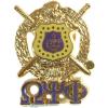 Omega Psi Phi 3D Gold Shield with Letters Pin