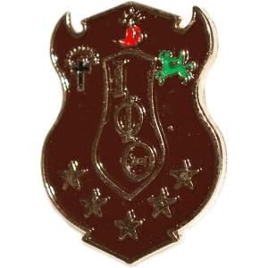 Iota Phi Theta 3D Color Shield Pins