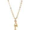 Greekgear Delta Gamma Gold Plated Lavaliere Necklace