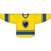 Kappa Kappa Psi League Hockey Jersey(Yellow/Blue)