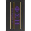 Phi Sigma Pi Greek Letter Flag
