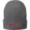 Phi Sigma Pi Big Letter Knit Cap(Heather Grey)