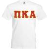 Pi Kappa Alpha Pike Lettered V-Neck T-Shirt(White)