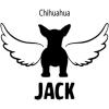 Personalized in Memory of Chihuahua Dog Decal Sticker(4″ Wide)