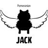 Personalized in Memory of Pomeranian Dog Decal Sticker(4″ Wide)