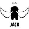 Personalized in Memory of Shih Tzu Dog Decal Sticker(4″ Wide)