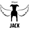 Personalized in Memory of Whippet Dog Decal Sticker(4″ Wide)