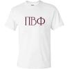 Pi Beta Phi University Greek T-Shirts(White)