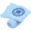 Greekgear Zeta Phi Beta Old School Seal Sweatshirt Blanket Light Blue