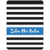 Greekgear Zeta Phi Beta Stripes Tan Sherpa Blanket – Giant Size!