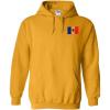 Delta Kappa Epsilon DKE Flag Patch Hooded Sweatshirt(Athletic Gold)
