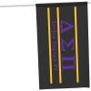Delta Sigma Pi Greek Letter Flag