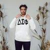 Delta Sigma Phi Arched Greek Letter Hooded Sweatshirt(White)
