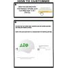 Personalized Delta Sigma Phi Greek Line Hat(White)