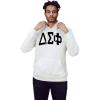 Delta Sigma Phi Arched Greek Letter Hooded Sweatshirt(White)