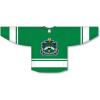 Delta Sigma Phi League Hockey Jersey(Kelly Green/White)