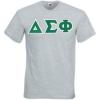 Delta Sigma Phi Lettered V-Neck T-Shirt(Sports Grey)