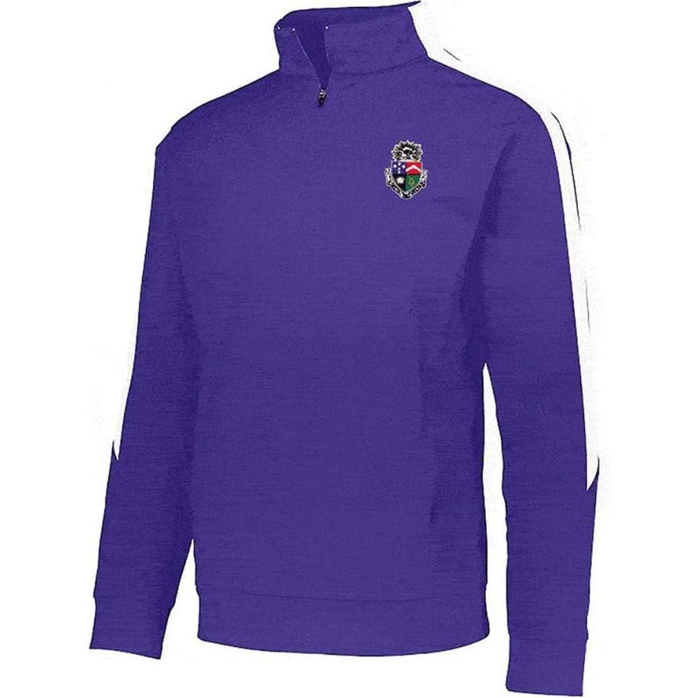 imageDelta Tau Delta DTD World Famous Greek Crest Medalist PulloverPurple White