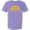 Delta Tau Delta DTD Greek Heavyweight T-Shirt(Violet)