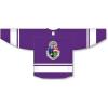 Delta Tau Delta DTD League Hockey Jersey(Purple/White)